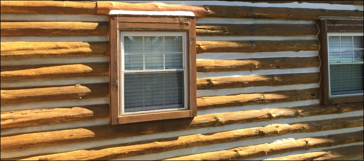 Log Home Whole Log Replacement  Scioto County, Ohio